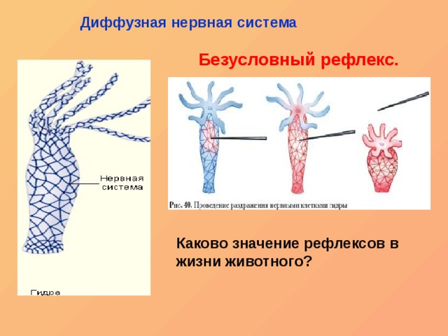 Зайти кракен через тор